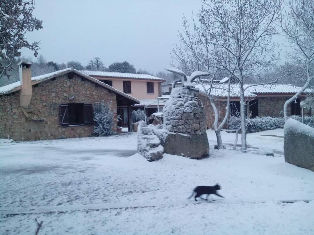 Hotel Il Nido Dell'Aquila Villanova Strisaili Kültér fotó